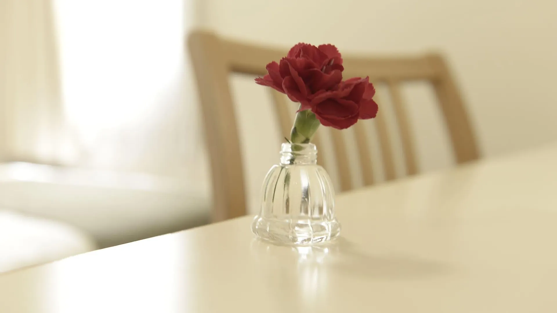 Shin-Osaka Station Hotel Japonsko